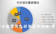 如何解决数字钱包被锁定的问题：全面指南